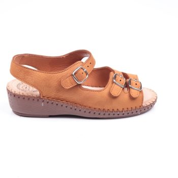 Papillon Terlik 605